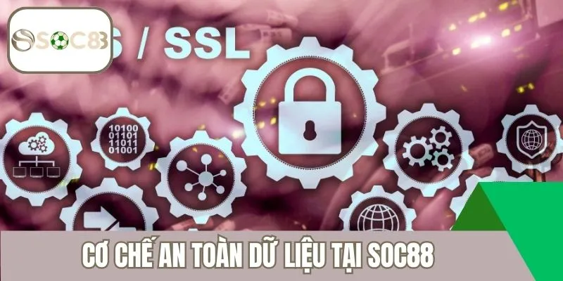 Cơ chế an toàn dữ liệu tại Soc88