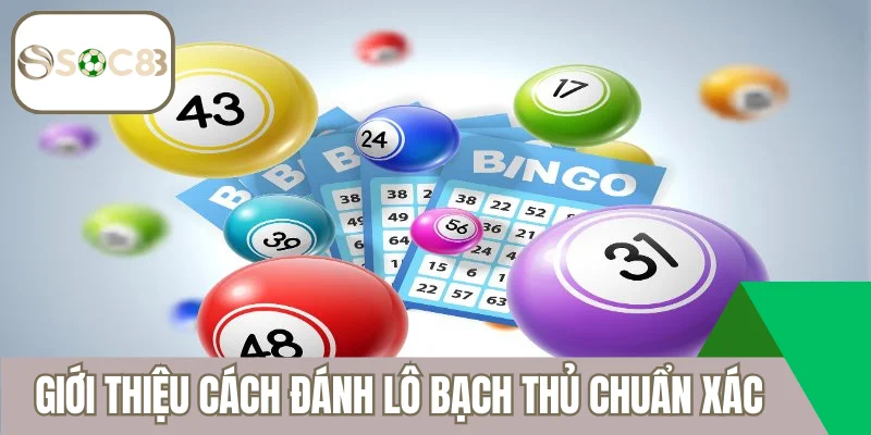 Giới thiệu cách đánh lô bạch thủ chuẩn xác